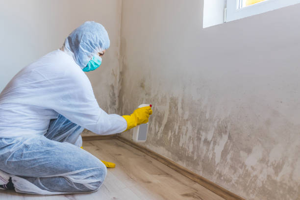 Crawl Space Mold Remediation treatment of floor joists in Clarksville